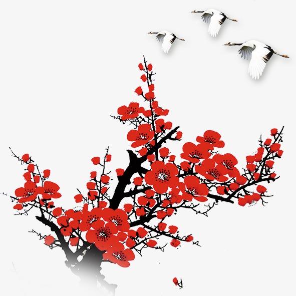 福建梅花 