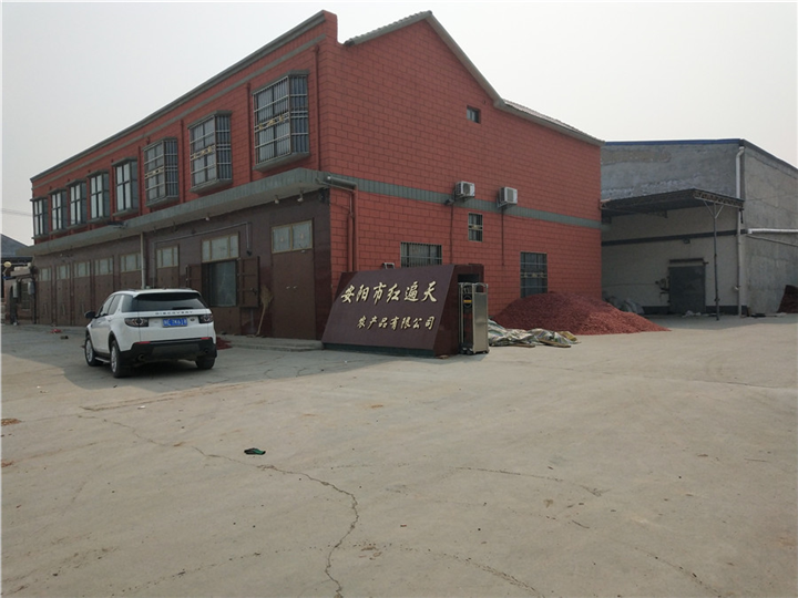 河南新一代辣椒基地