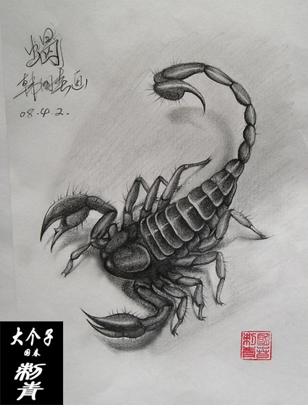 天津纹身津门刺客纹身图库蝎子纹身 