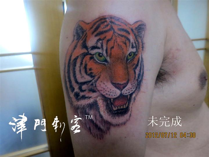 天津纹身津门刺客虎头纹身 