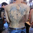 798展会 