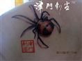 天津纹身津门刺客蜘蛛纹身 