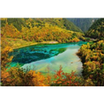 五花海到九寨沟旅游包车 