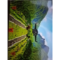 神农架旅游包车
