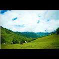 www.jzgh.jqw.com九寨沟旅游包车 