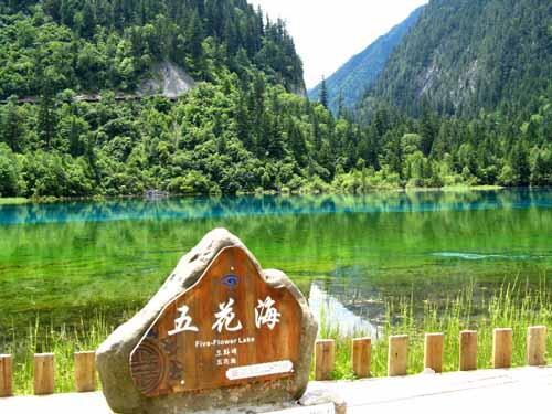 九寨沟到五花海旅游包车 
