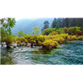 九寨沟旅游包车-犀牛海 