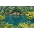 九寨沟旅游包车到犀牛海 