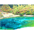 九寨沟五花海旅游包车 
