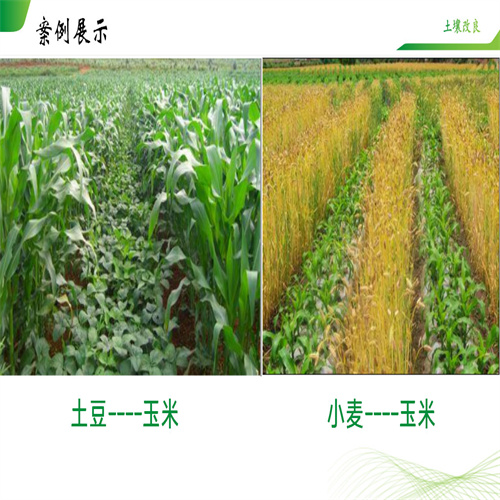兰州农业治理
