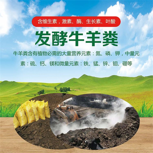兰州土壤治理