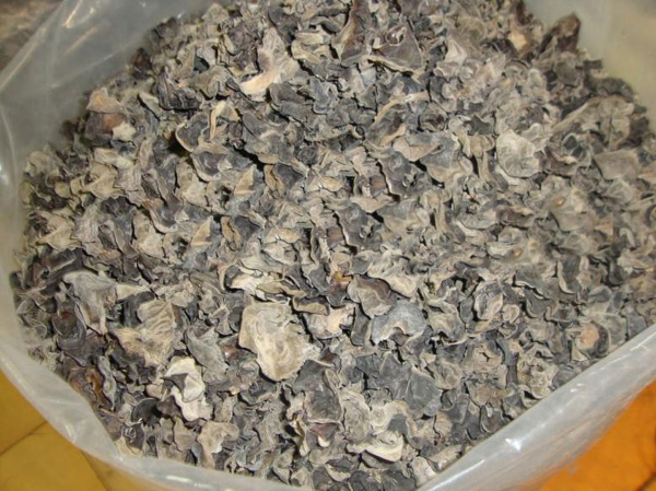 江苏木耳L江苏哪里有毛木耳买 