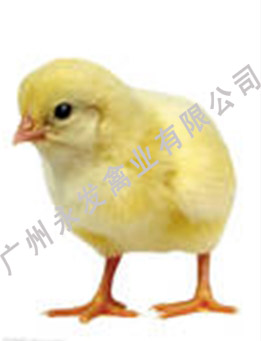广州孵化场、广东孵化场