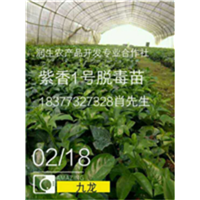 广西润生农产品开发专业合作社