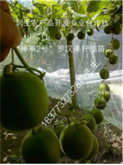 广西润生农产品开发专业合作社