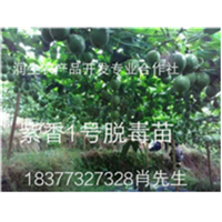 广西润生农产品开发专业合作社