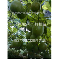 广西润生农产品开发专业合作社