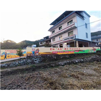 岳阳墙绘公司