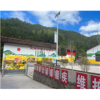 长沙新农村墙绘彩绘