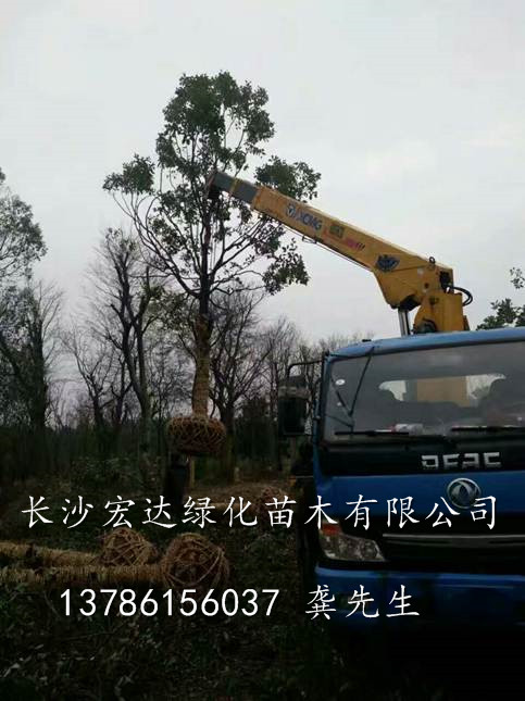 装车现场