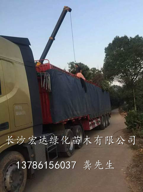 装车现场