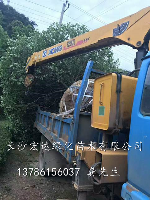 装车现场
