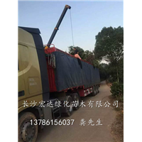装车现场