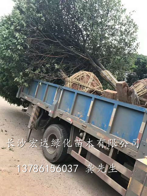 装车现场