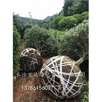 装车现场