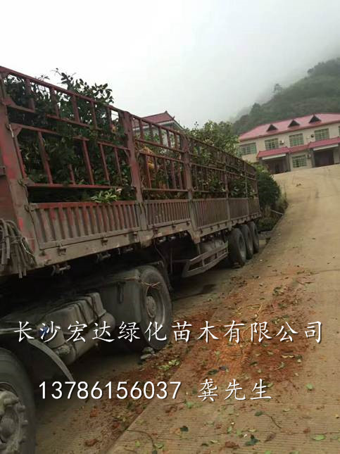 装车现场