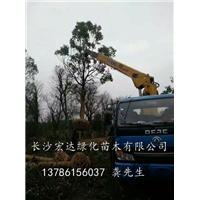 装车现场