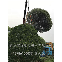 装车现场