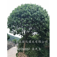 装车现场