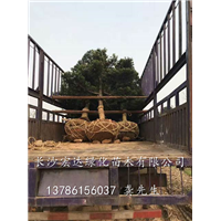 装车现场