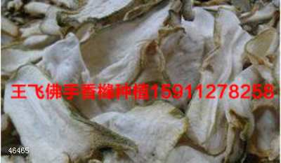 香橼片收购出售哪家好 