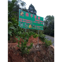 香橼片收购出售 