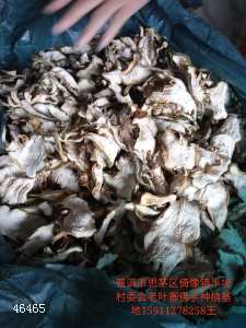 云南普洱佛手切片机出售 