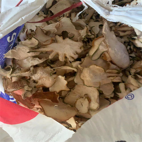 云南香橼苗排行榜