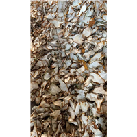 普洱思茅佛手片香橼片