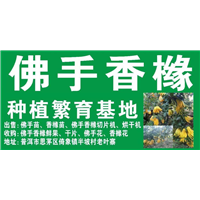 佛手烘干机出售电话