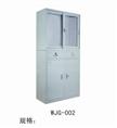 WJG-002，南昌文件柜，南昌文件柜厂家