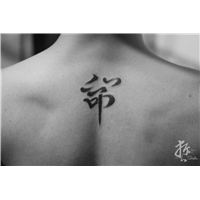 姜玉阳