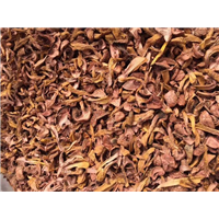 承德蘑菇，河北蘑菇，河北承德蘑菇出售 