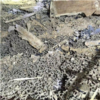 中山白蚁防治① 中山灭蟑螂◎ 中山灭老鼠 