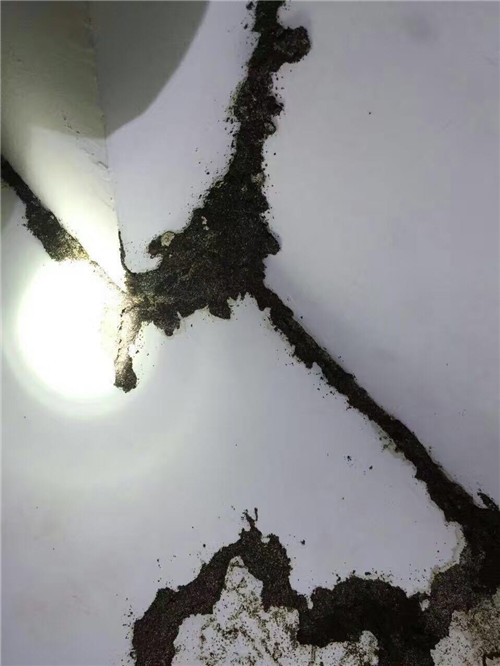 中山白蚁防治① 中山灭蟑螂◎ 中山灭老鼠 