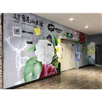 深圳福田区网红餐厅手绘墙