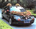 河南租车/婚庆租车公司-18903719962 