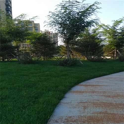 辽宁小区住宅园林工程