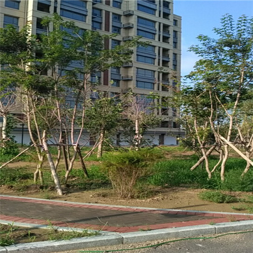 辽宁道路园林工程