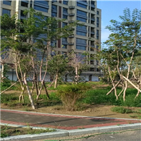 辽宁道路园林工程